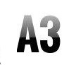 A3